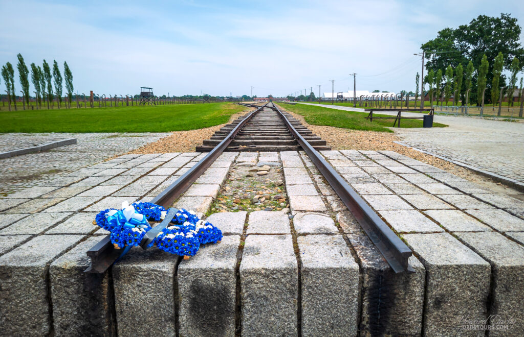 Flowers on the tracks at Birkenau concentration camp