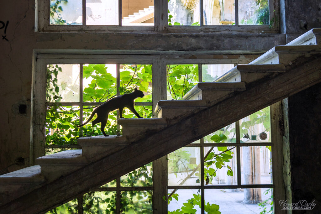 The only remaining resident of the Medea Sanatorium 