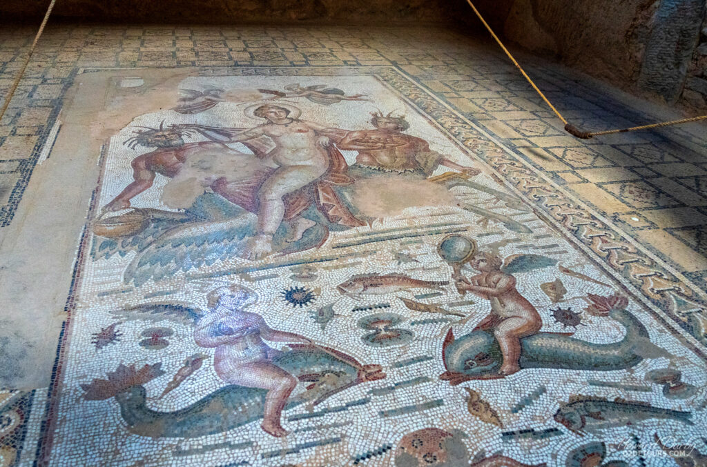 Mosaic in the House of Amphritrite