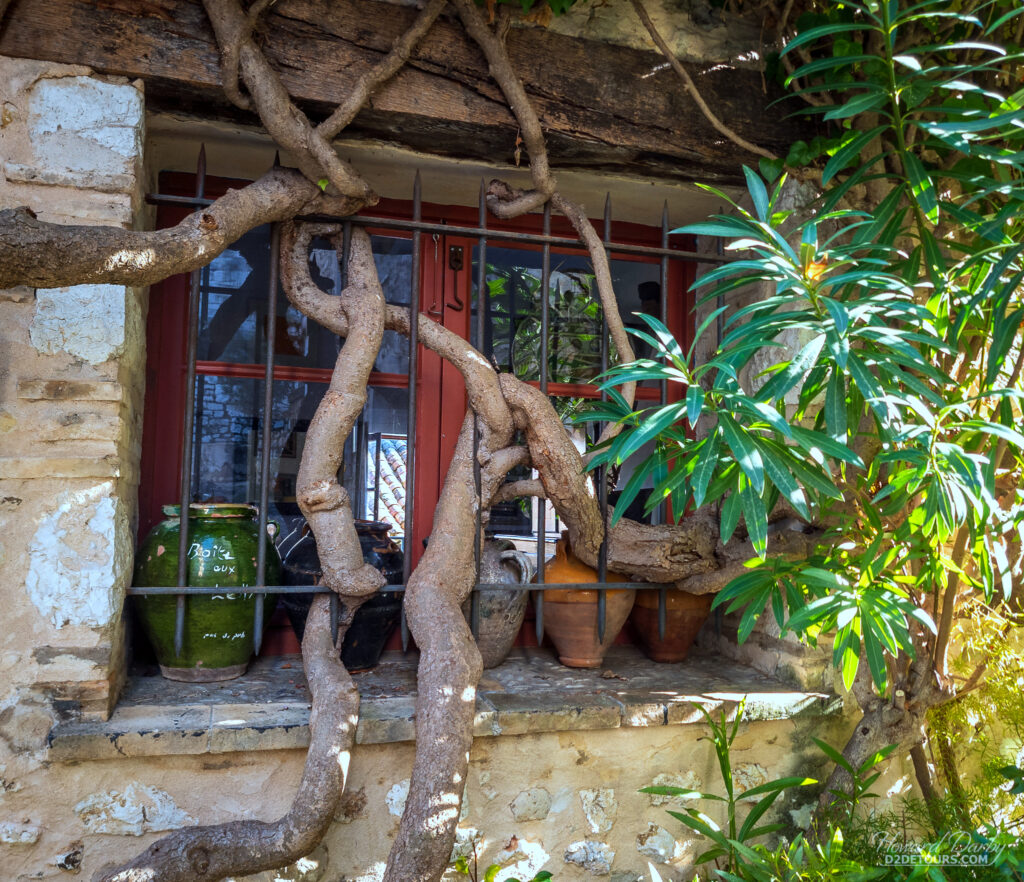 Vines winding around the bars of a window