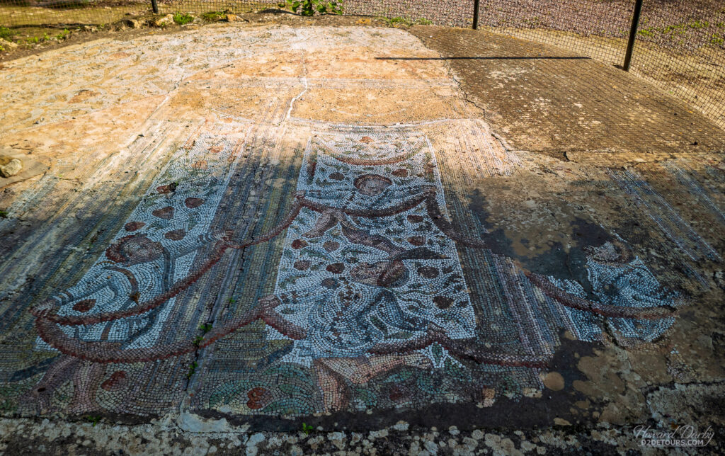 Mosaic at the Carthaginian Ruins in Tunis